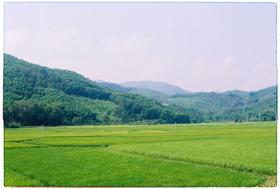 Kho gạo của Nguyễn Hoàng Long (nguyễn Năm)